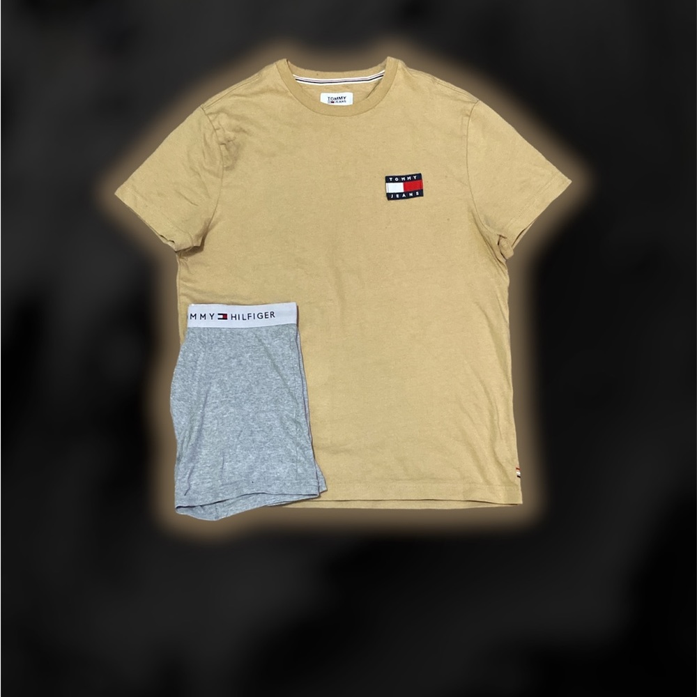 Tommy Hilfiger embroidered logo T- Shirt